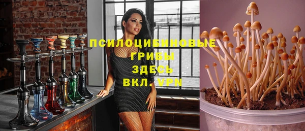 spice Алзамай
