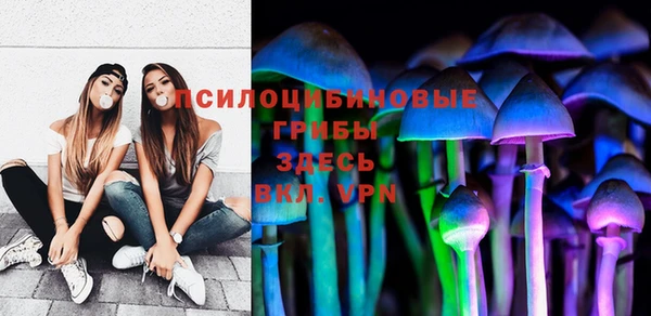 ECSTASY Алексеевка