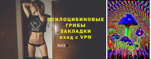 spice Алзамай
